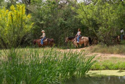 Renegade Horseback Riding, Hyatt Regency Lost Pines Resort and Spa