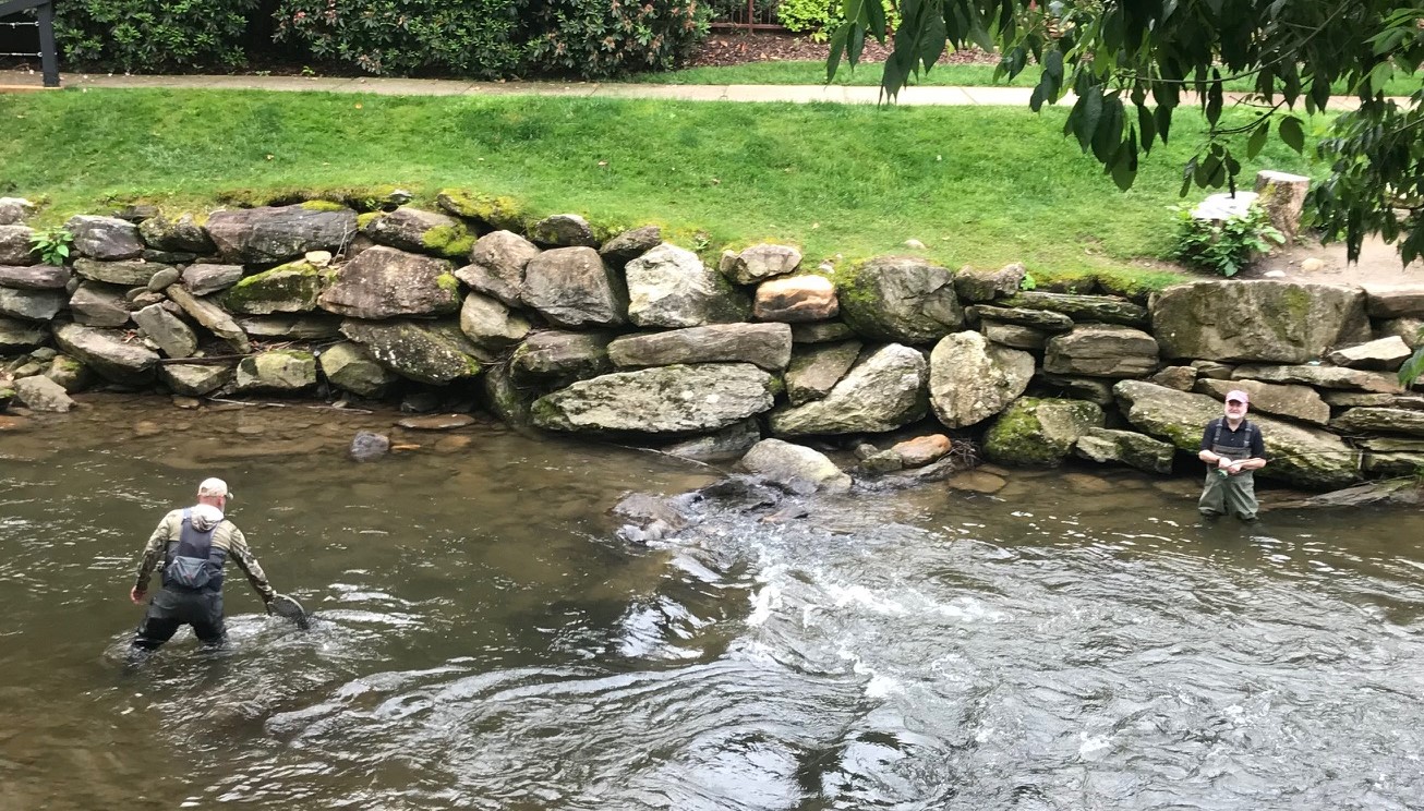 Photo of fly-fishing on Soco Creek at Harrah's Cherokee Casino Resort.