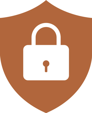 An infographic of a brown badge with a lock in the middle of it.