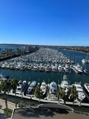 Photo of Sheraton San Diego Hotel & Marina harbor view.