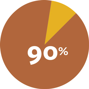Infographic of a pic chart with the biggest portion have 90% in brown and the smaller slice in yellow.