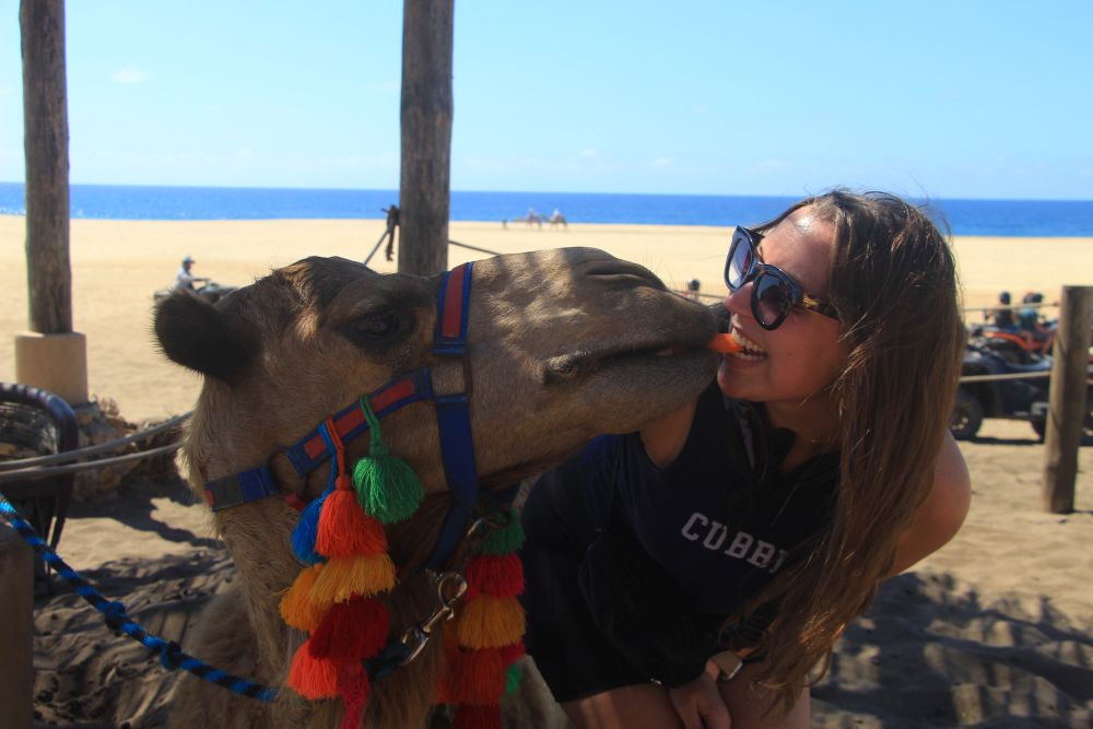 Taylor sharing a carrot with a camel