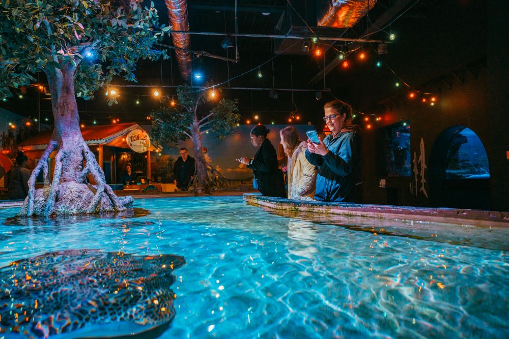 Shreveport Aquarium.