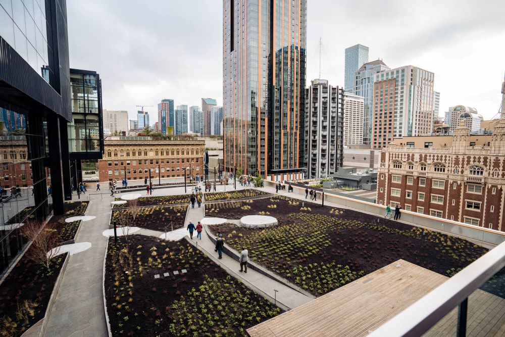 Photo of Summit building roof space, Seattle.