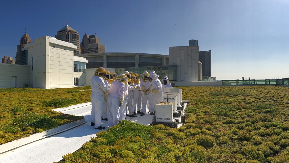 TCF Center Rooftop