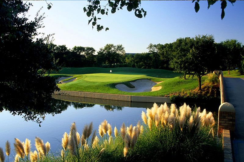 Photo of TPC Las Colinas, with a green in the background and a water hazard in and plant in the foreground.