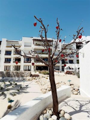 Tree decorated with glass hearts at Las Ventanas al Paraíso, a Rosewood Resort. Credit: Taylor Smith