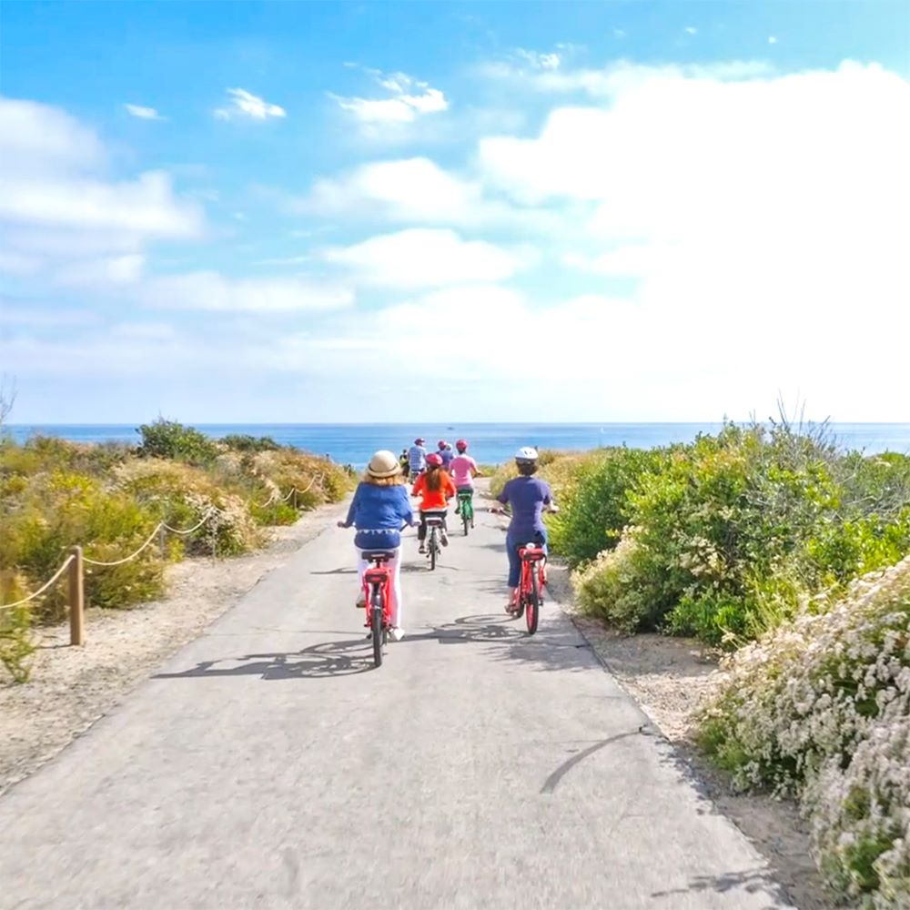 Photo of people peddling on electric bikes down a road, with foliage on either side, on a Pedego Electric Bike tour.