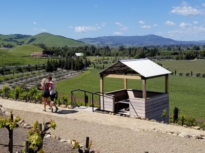 Viansa, Sonoma County