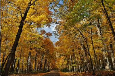 Views along Constitution Trail, Bloomington-Normal