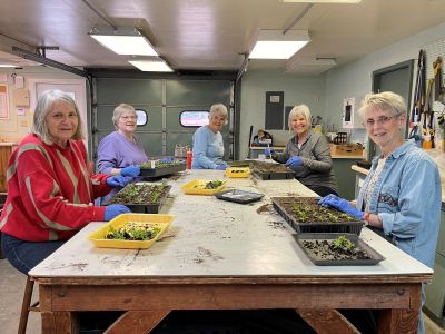 Volunteers at the Dubuque Arboretum and Botanical Gardens