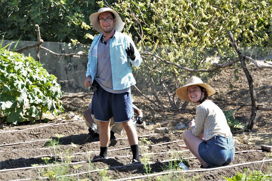 Volunteers in Spanish Colonial Vegetable Garden, Mission Garden.