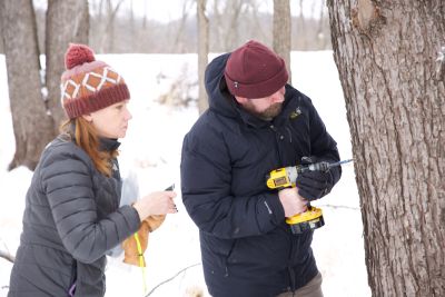Volunteers tree tapping at Indian Creek Nature Center, Cedar Rapids