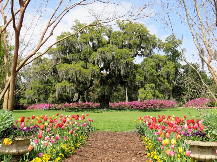 Airlie Gardens, Wilmington, North Carolina.