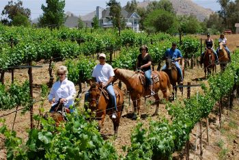 Wine Country Trails By Horseback. Credit: Visit Temecula Valley