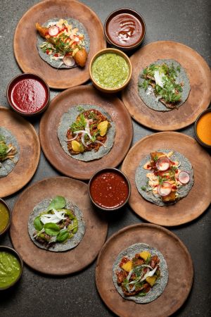 Photo of circular dishes of fine-dining food.