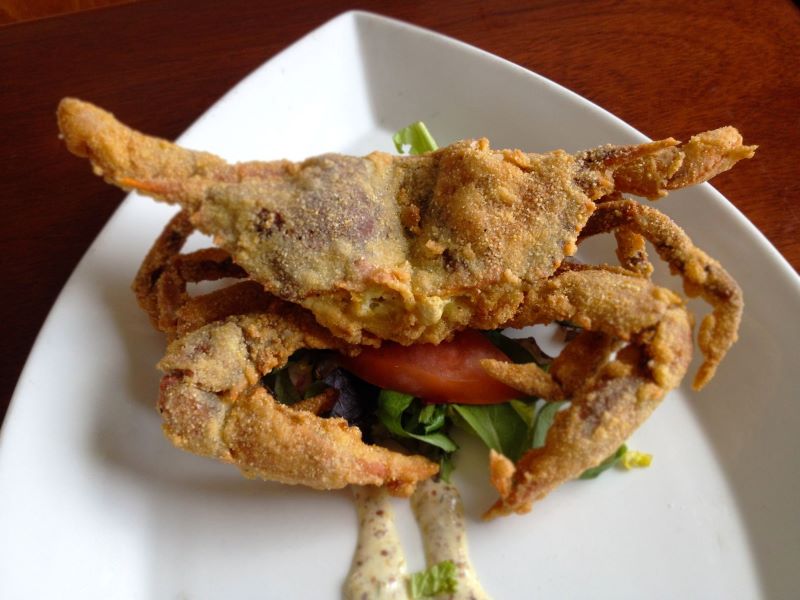 Softshell crab, Outer Banks, North Carolina.