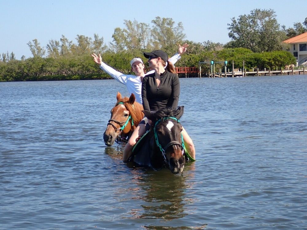 Horseback tour with C Ponies