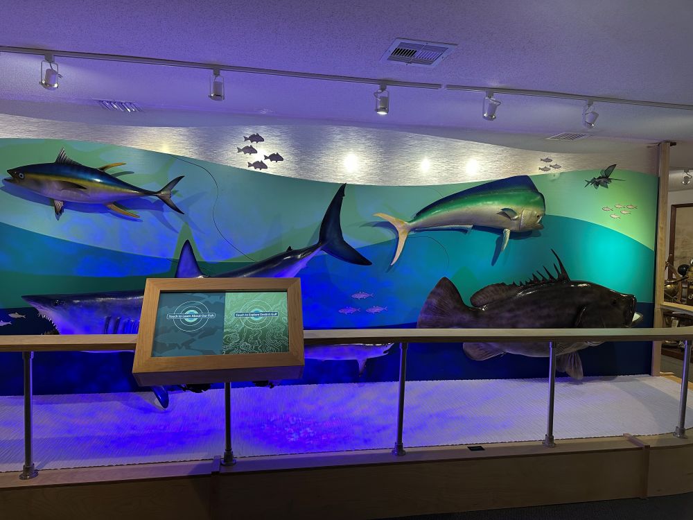 Destin Fishing Museum