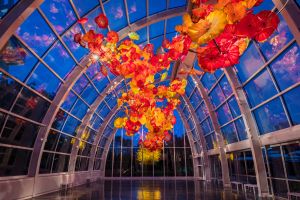 Glasshouse sculpture at Chihuly Garden and Glass