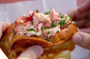 Lobster Roll