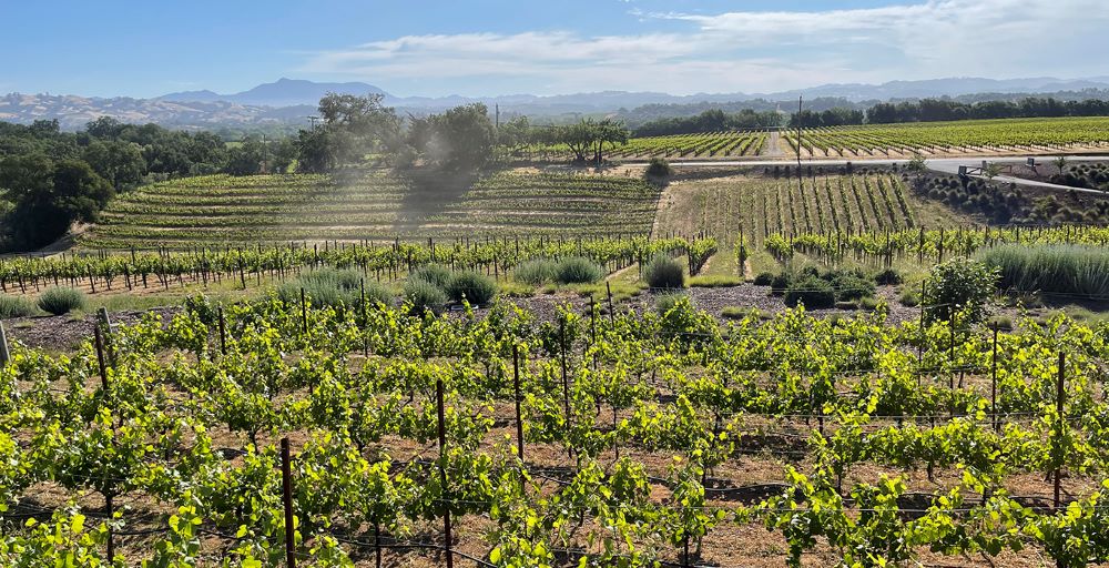 A winery in Healdsburg