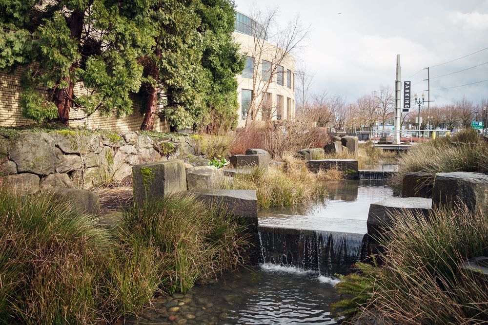 Rain garden at Oregon Convention Center