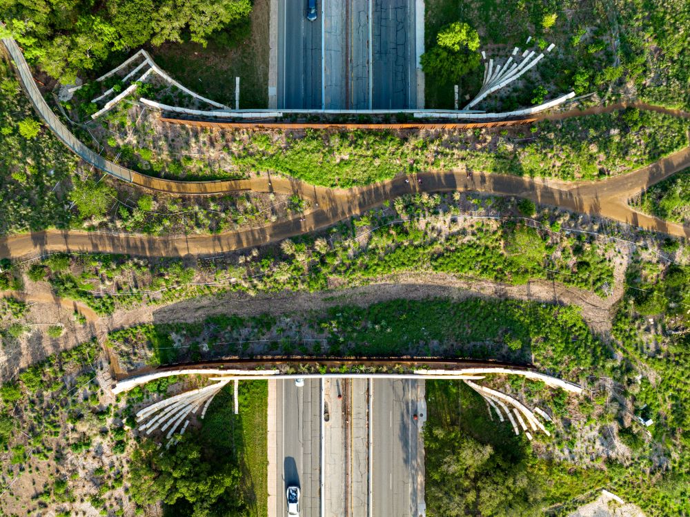 Robert L.B. Tobin Land Bridge 