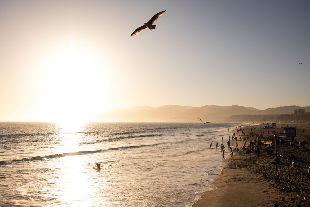 Santa Monica