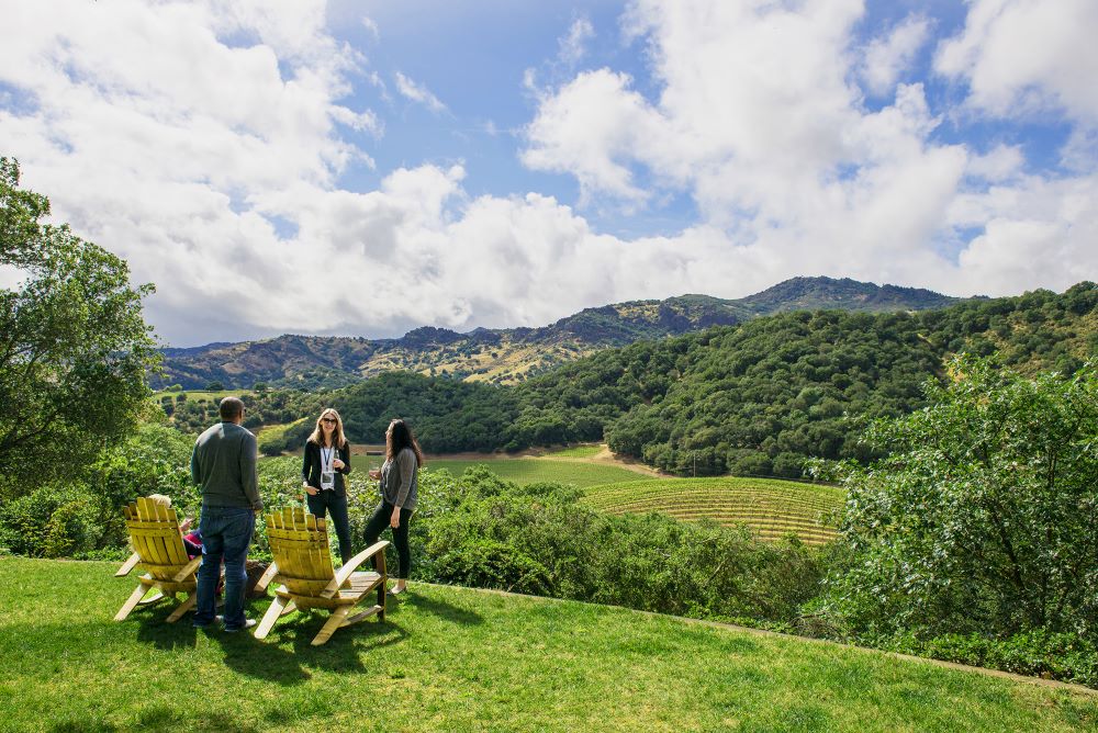 Attendees gathering outside in Napa Valley