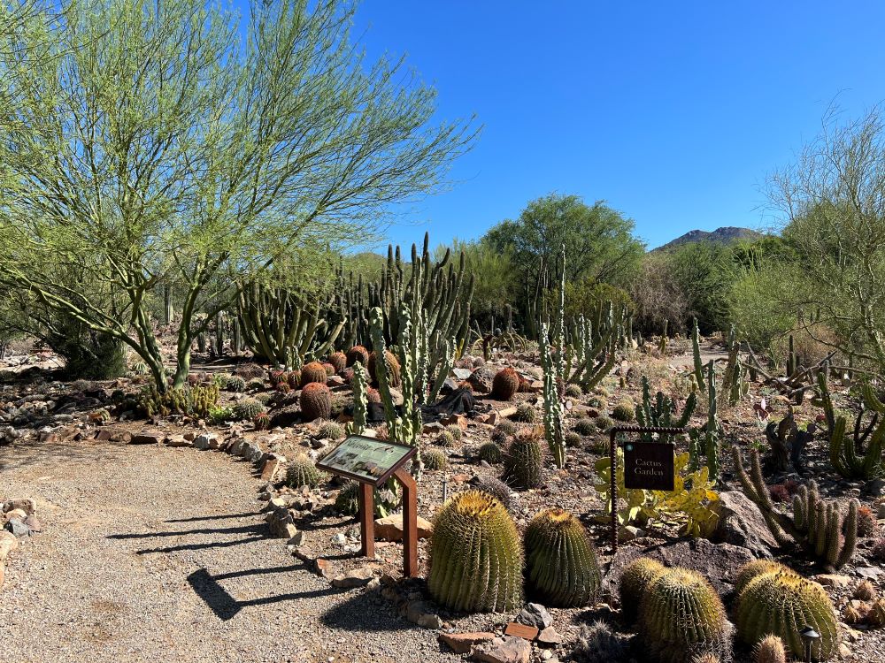 Arizona-Sonora Desert Museum, Tucson