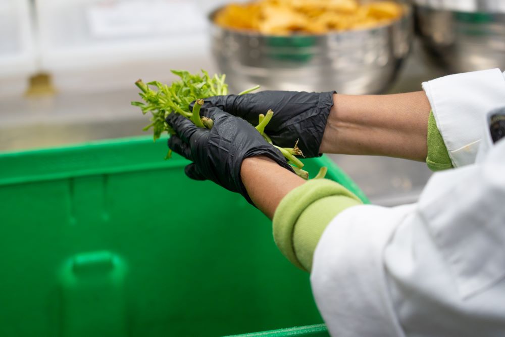 Sustainable disposal of food scraps at San Diego Convention Center