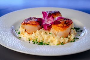 scallops