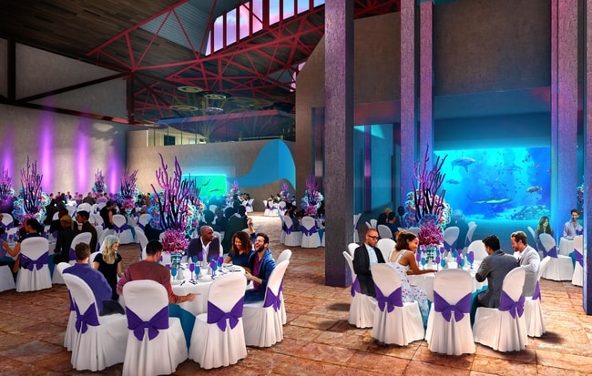 Shark tank and event space rendering, St. Louis Aquarium