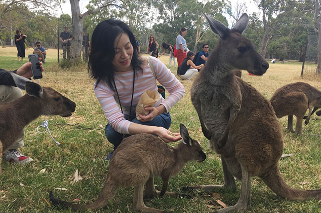 Cleland wildlife park, south australia