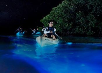 Kayaking through a bioluminescent bay Credit: Discover Puerto Rico
