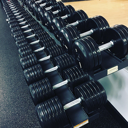 Free Weights on Display at the Marriott Marquis Chicago, Credit: Christoph Trappe