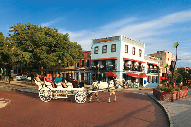 Horse and Carriage Tour, Wilmington and the Beaches, North Carolina