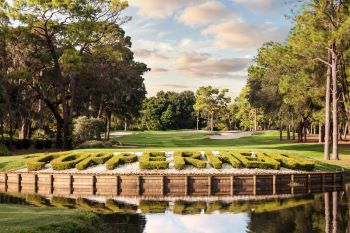 Copperhead hole at Innisbrook.