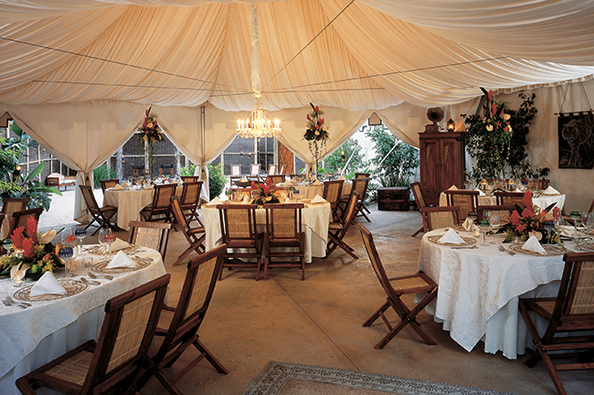 Dinner Setup, NGALA Wildlife Preserve