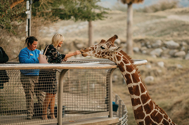 Living Desert Zoo Gardens, Greater Palm Springs