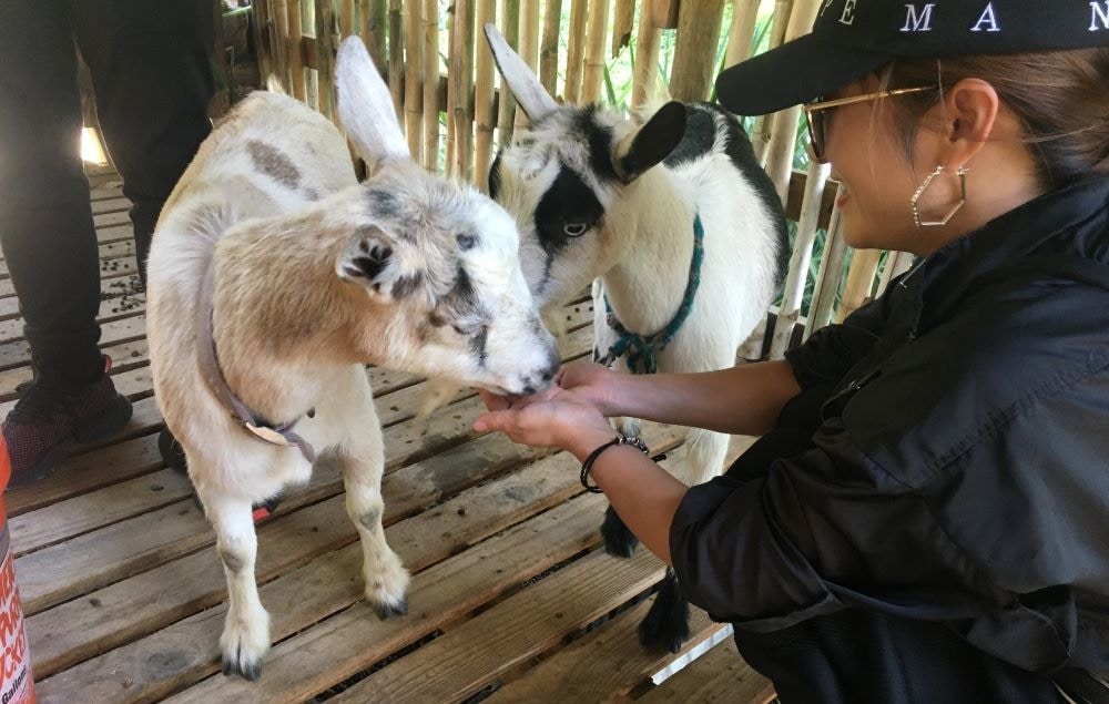 ECHO Global Farm, North Fort Myers