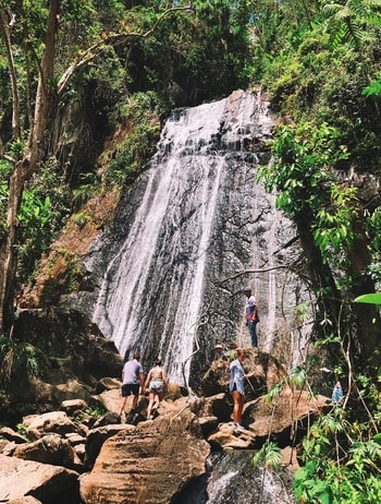 El Yunque National Forest Credit: Edwin de Jongh