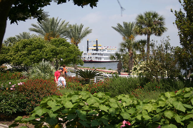 Herb Garden at Moody Gardens in Galveston