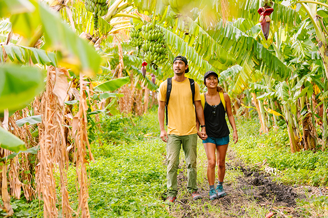 Mao Organic Farms, Oahu, Hawaii Forest & Trail, Farm to Forest Experience, Credit: Andrew Hara