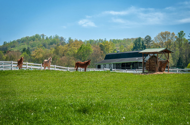 Horse Shoe Farm