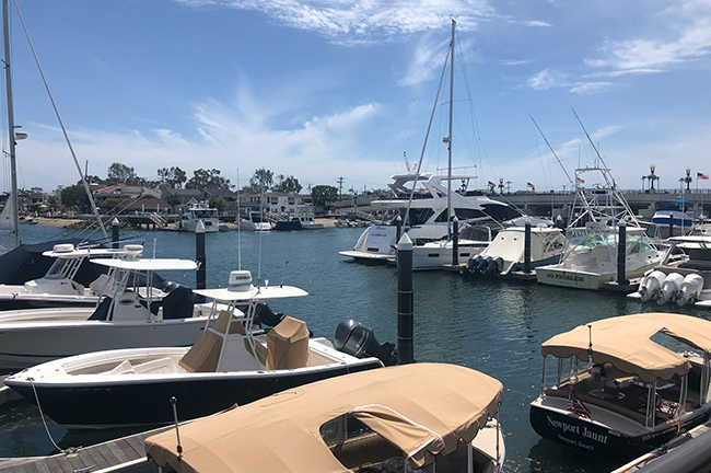 Marina Near Irvine Company's Fashion Island Hotel