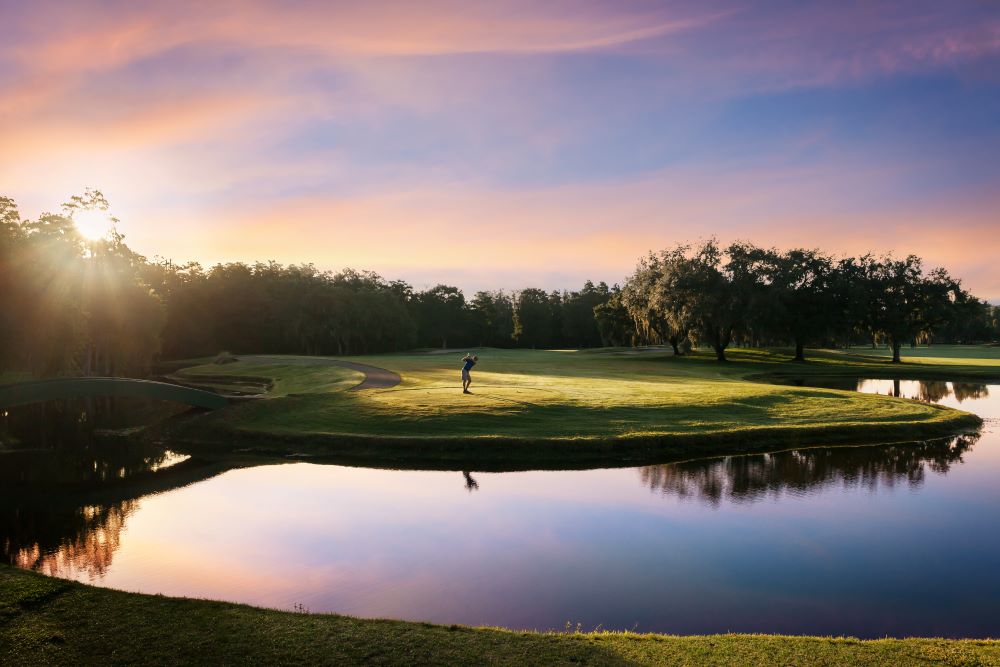 Championship golfing at Innisbrook.