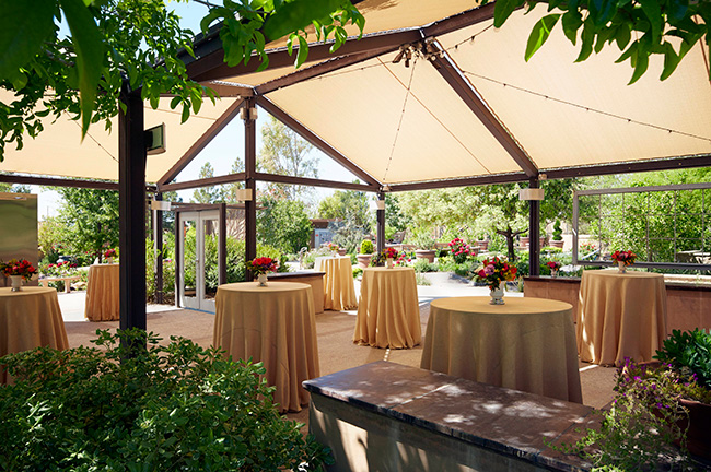 Springs Preserve Botanical Gardens Event Space