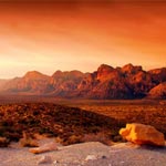Desert Jewels Desert Jewels